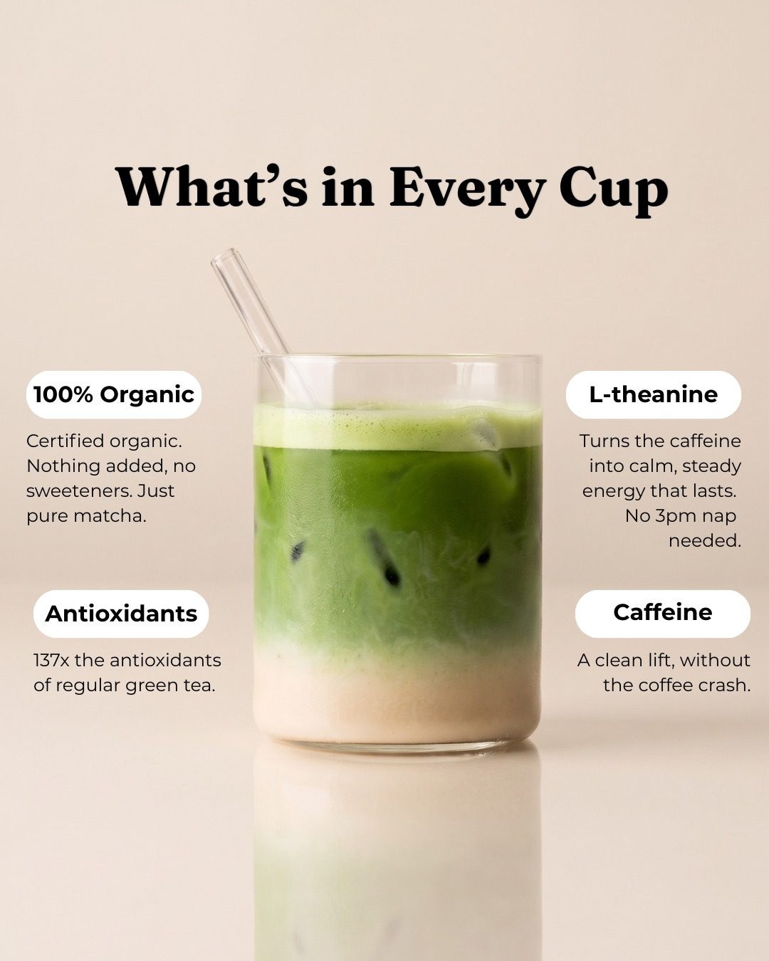 What's in every cup: 100% organic, antioxidants, L-theanine and caffeine
